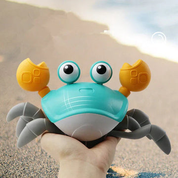 Sensory Toy Crab